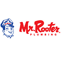 Mr. Rooter 
